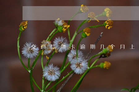 交通信用卡逾期几个月上门
