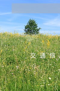 交通信用卡逾期几天不算预期 交通信用卡逾期几天不算预期