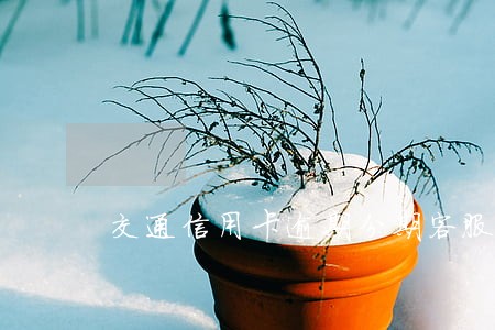 交通信用卡逾期分期客服电话 交通信用卡逾期分期客服电话
