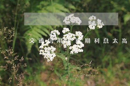 交通信用卡逾期利息太高 交通信用卡逾期利息太高