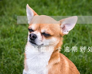 交通信用卡逾期到处打电话 交通信用卡逾期到处打电话