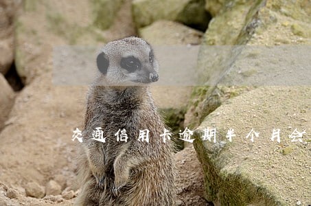 交通信用卡逾期半个月会封卡吗 交通信用卡逾期半个月会封卡吗