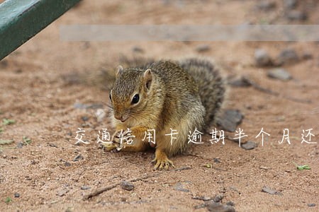 交通信用卡逾期半个月还能用吗