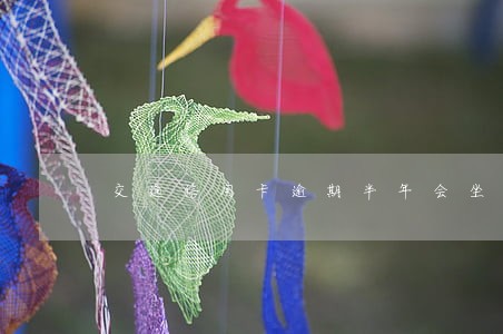 交通信用卡逾期半年会坐牢吗 交通信用卡逾期半年会坐牢吗