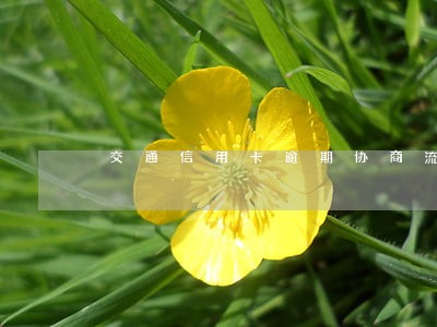 交通信用卡逾期协商流程有哪些 交通信用卡逾期协商流程有哪些