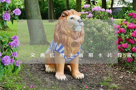 交通信用卡逾期卡片异常 交通信用卡逾期卡片异常
