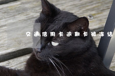 交通信用卡逾期卡被冻结 交通信用卡逾期卡被冻结