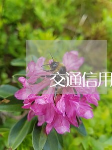 交通信用卡逾期去单位找人