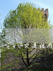交通信用卡逾期取消最低还款 交通信用卡逾期取消最低还款