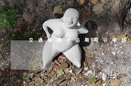 交通信用卡逾期可以申请解冻 交通信用卡逾期可以申请解冻