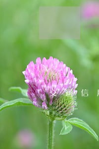 交通信用卡逾期吧 交通信用卡逾期吧