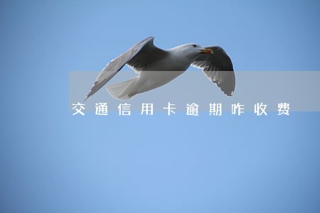 交通信用卡逾期咋收费