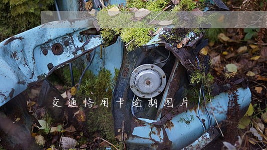 交通信用卡逾期图片 交通信用卡逾期图片
