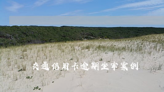 交通信用卡逾期坐牢案例 交通信用卡逾期坐牢案例