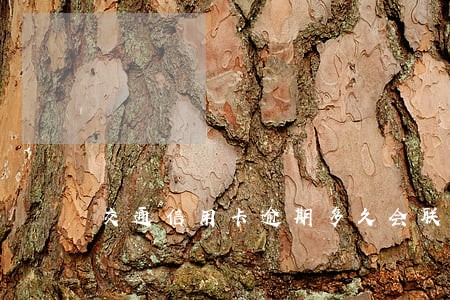 交通信用卡逾期多久会联系家人 交通信用卡逾期多久会联系家人