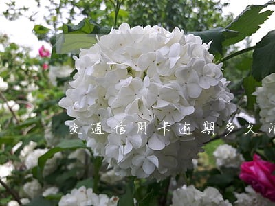 交通信用卡逾期多久消除 交通信用卡逾期多久消除