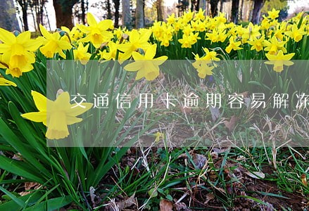 交通信用卡逾期容易解冻么 交通信用卡逾期容易解冻么