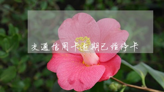 交通信用卡逾期已经停卡