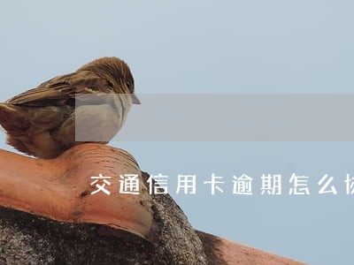 交通信用卡逾期怎么协商个性化