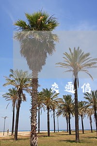 交通信用卡逾期怎么样 交通信用卡逾期怎么样