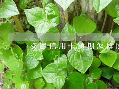 交通信用卡逾期怎样协商减免 交通信用卡逾期怎样协商减免