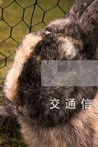 交通信用卡逾期打电话催款