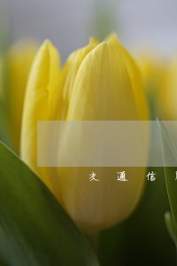 交通信用卡逾期打电话说封档 交通信用卡逾期打电话说封档