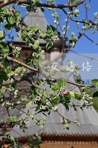 交通信用卡逾期扣钱么 交通信用卡逾期扣钱么