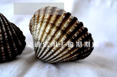 交通信用卡逾期期限 交通信用卡逾期期限