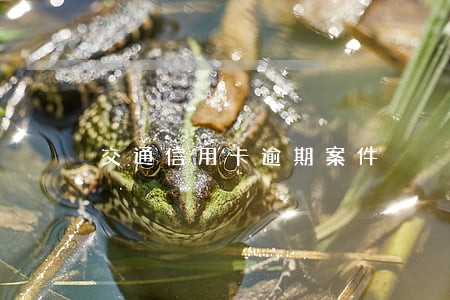 交通信用卡逾期案件