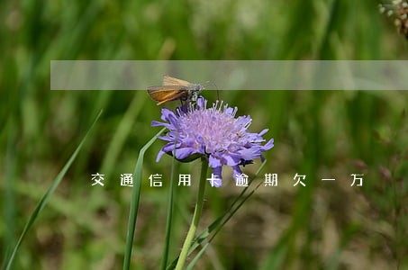 交通信用卡逾期欠一万