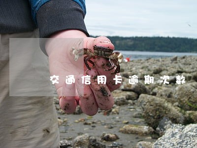 交通信用卡逾期次数 交通信用卡逾期次数