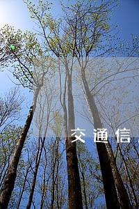 交通信用卡逾期法务部 交通信用卡逾期法务部