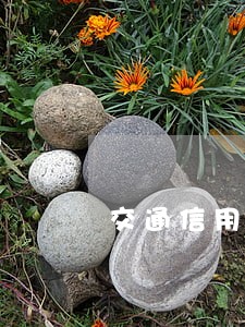 交通信用卡逾期率