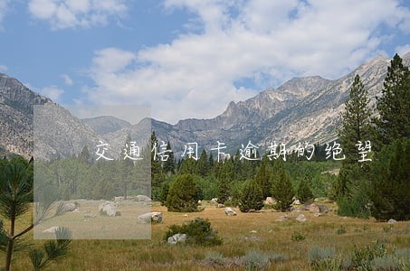 交通信用卡逾期的绝望 交通信用卡逾期的绝望