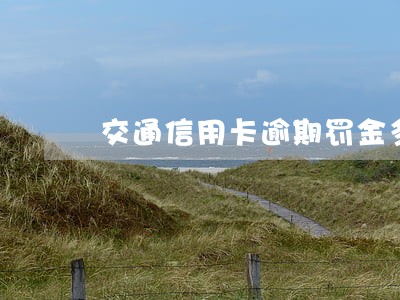 交通信用卡逾期罚金多少 交通信用卡逾期罚金多少