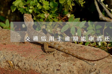 交通信用卡逾期能申请还本金吗