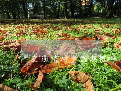 交通信用卡逾期被停卡
