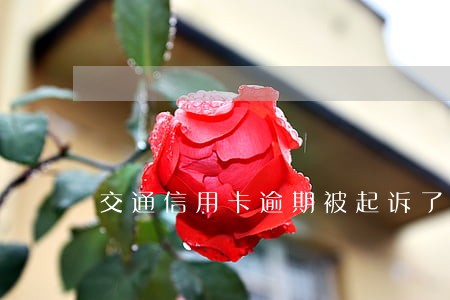 交通信用卡逾期被起诉了