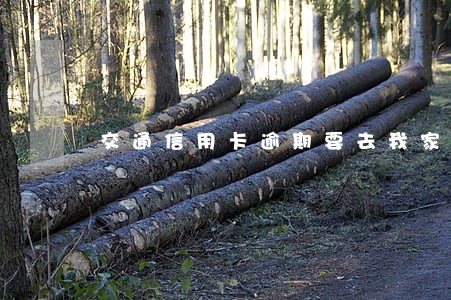 交通信用卡逾期要去我家 交通信用卡逾期要去我家