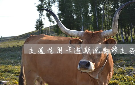 交通信用卡逾期说要移交资料 交通信用卡逾期说要移交资料