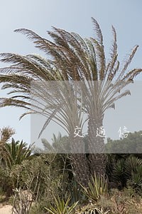交通信用卡逾期说走流程 交通信用卡逾期说走流程