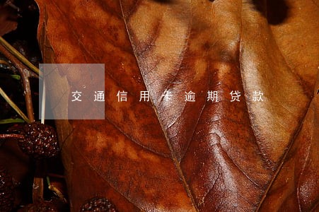 交通信用卡逾期贷款 交通信用卡逾期贷款