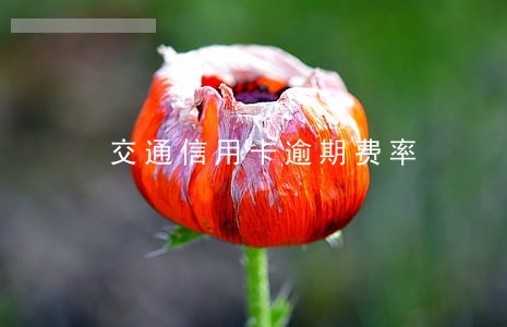 交通信用卡逾期费率 交通信用卡逾期费率