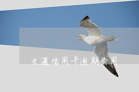 交通信用卡逾期费用