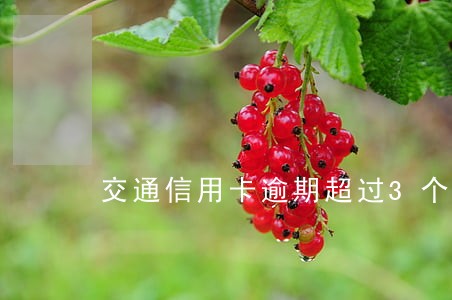 交通信用卡逾期超过3个月 交通信用卡逾期超过3个月