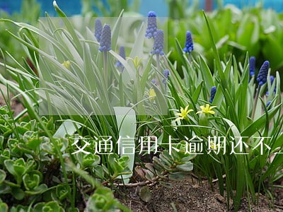 交通信用卡逾期还不上 交通信用卡逾期还不上