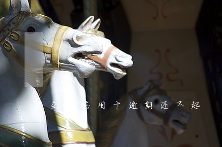 交通信用卡逾期还不起 交通信用卡逾期还不起