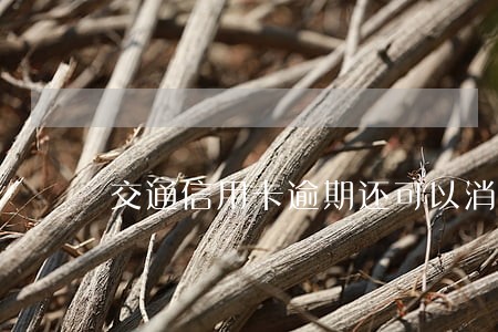 交通信用卡逾期还可以消费码 交通信用卡逾期还可以消费码