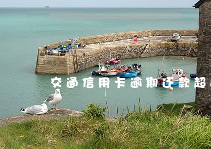 交通信用卡逾期还款超过18点 交通信用卡逾期还款超过18点
